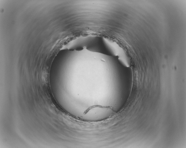 X0000087030035200704301350