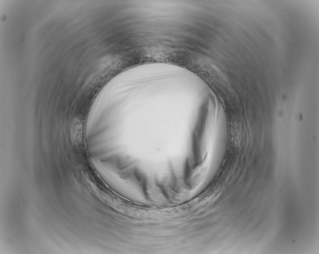 X0000087030036200704301350