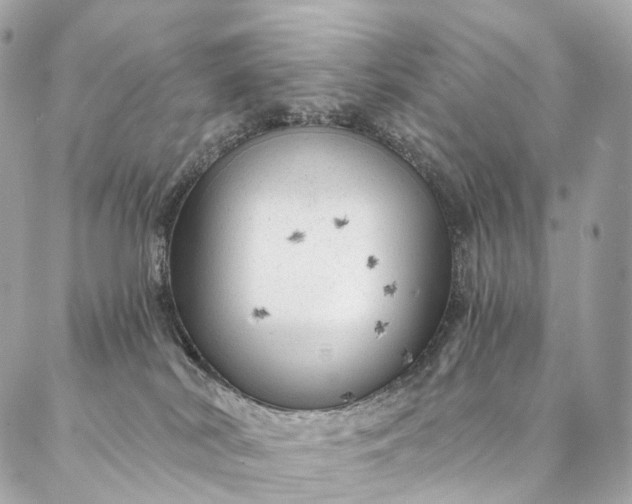 X0000087030038200704301350