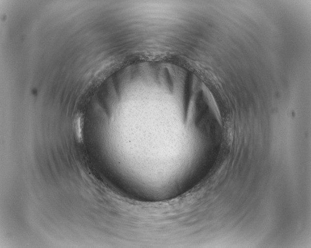 X0000087030042200704301350