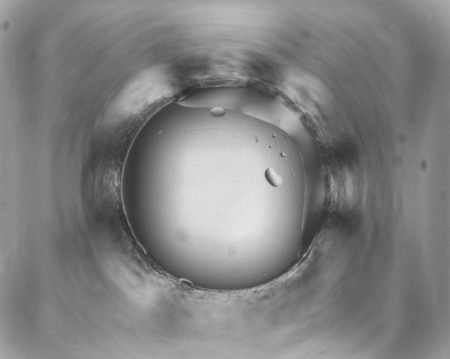 X0000087030045200704301350