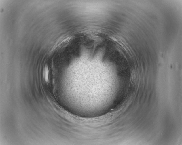 X0000087030046200704301350