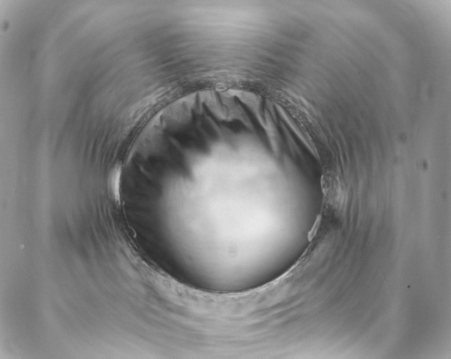 X0000087030047200704301350