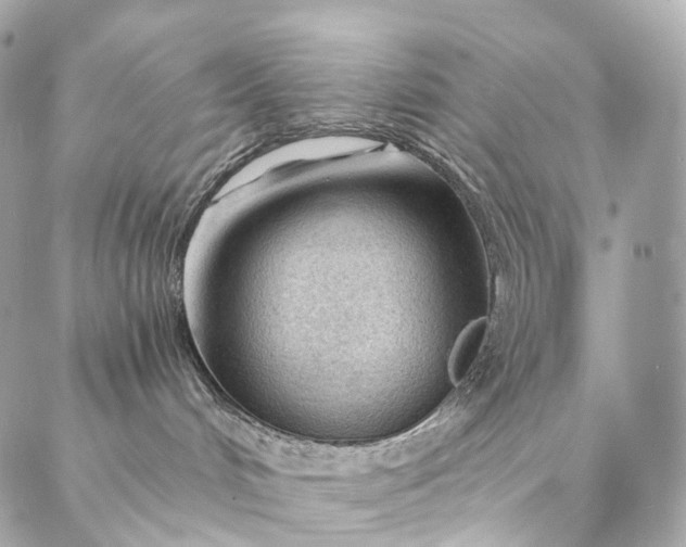 X0000087030048200704301350