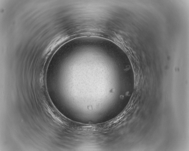 X0000087030050200704301349