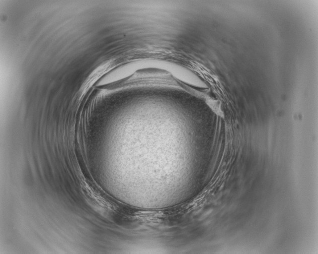 X0000087030051200704301349