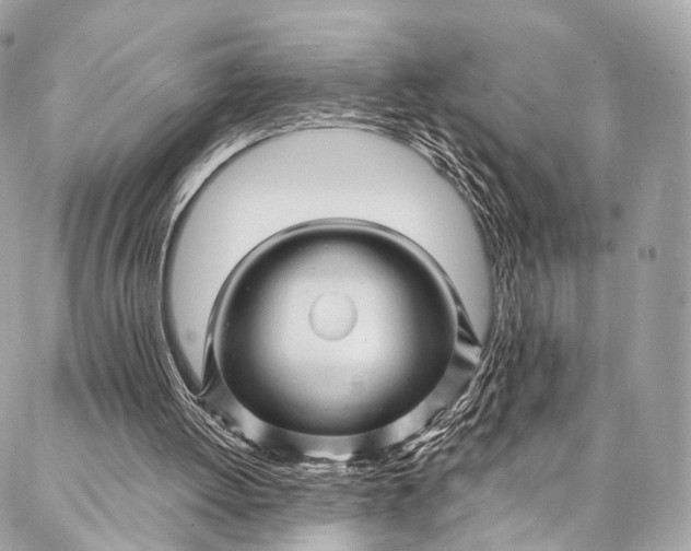 X0000087030052200704301349