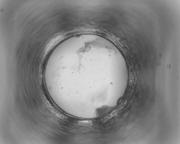 X0000087030053200704301349