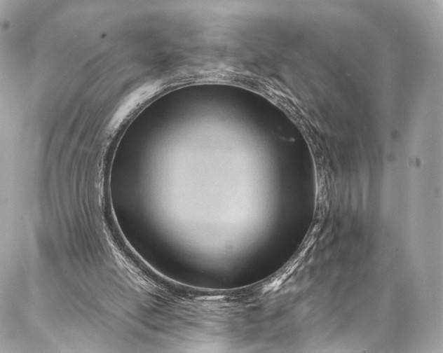 X0000087030054200704301349