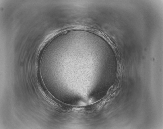 X0000087030055200704301349