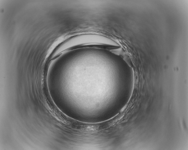 X0000087030056200704301349