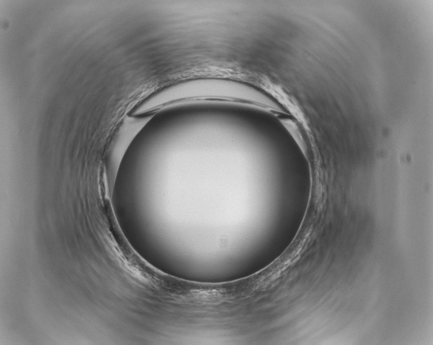 X0000087030057200704301349