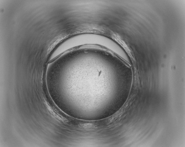 X0000087030058200704301349