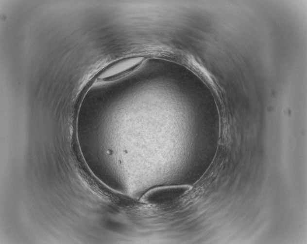 X0000087030059200704301349