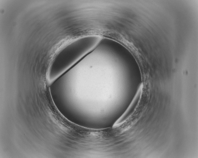 X0000087030060200704301349