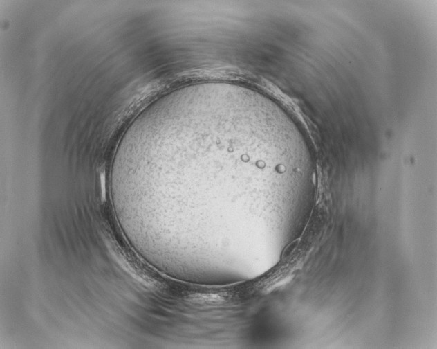 X0000087030061200704301349