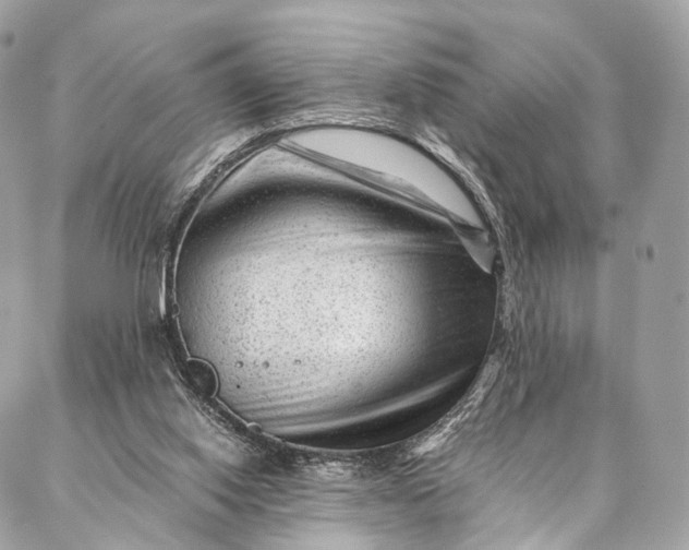 X0000087030062200704301349