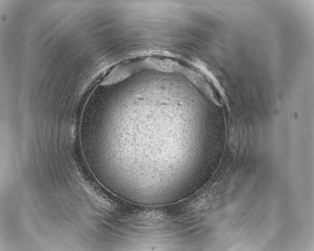 X0000087030063200704301349