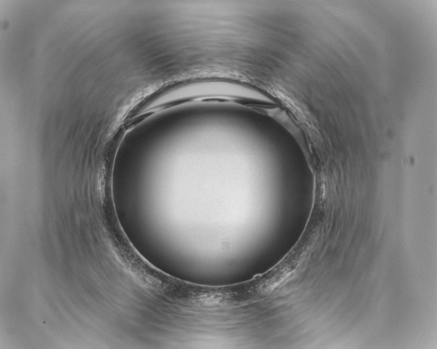 X0000087030064200704301349