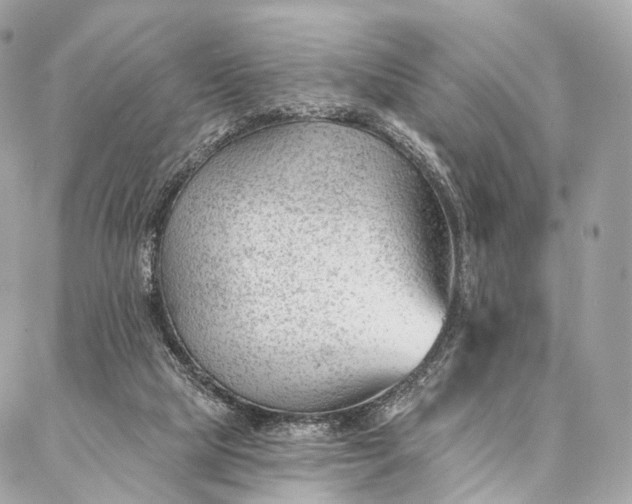 X0000087030065200704301350