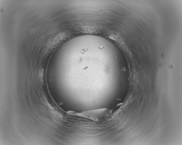 X0000087030066200704301350