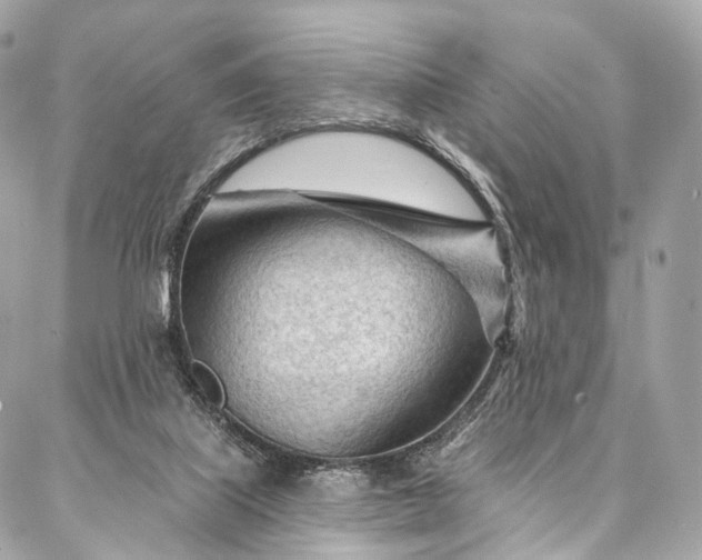 X0000087030067200704301350