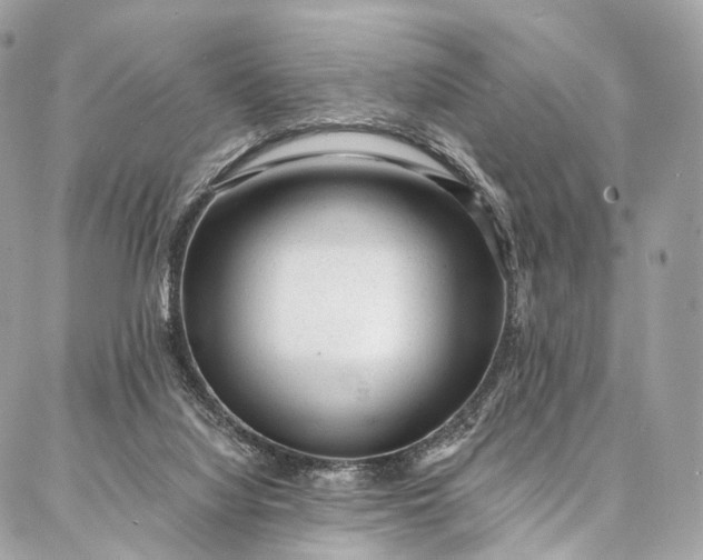 X0000087030068200704301350