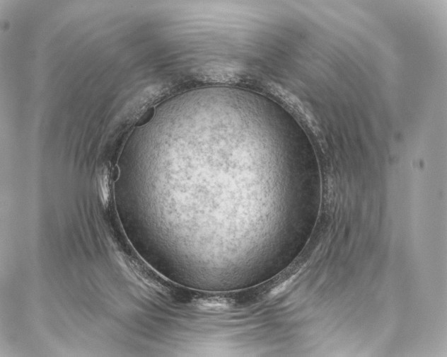 X0000087030069200704301350