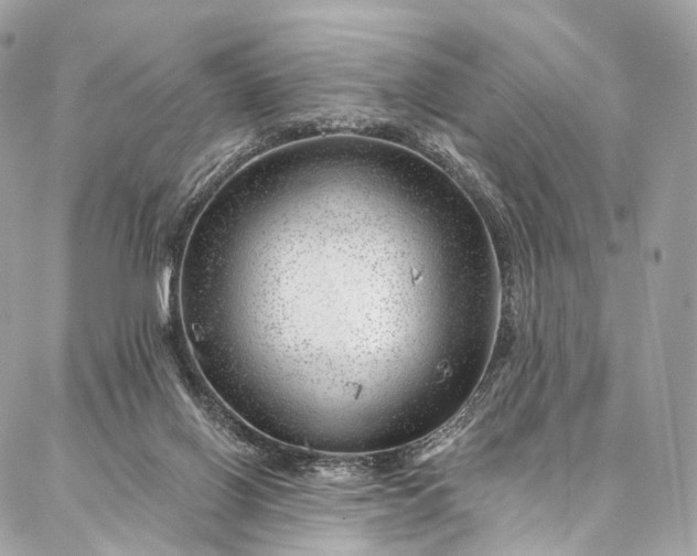 X0000087030070200704301350