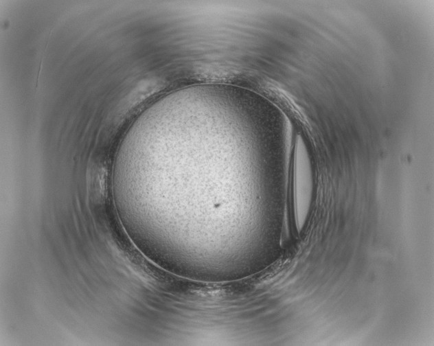 X0000087030071200704301350