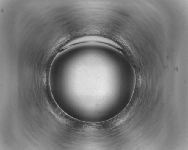 X0000087030072200704301350