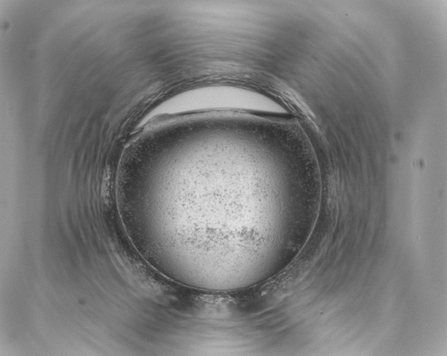 X0000087030073200704301350