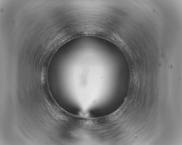 X0000087030074200704301350