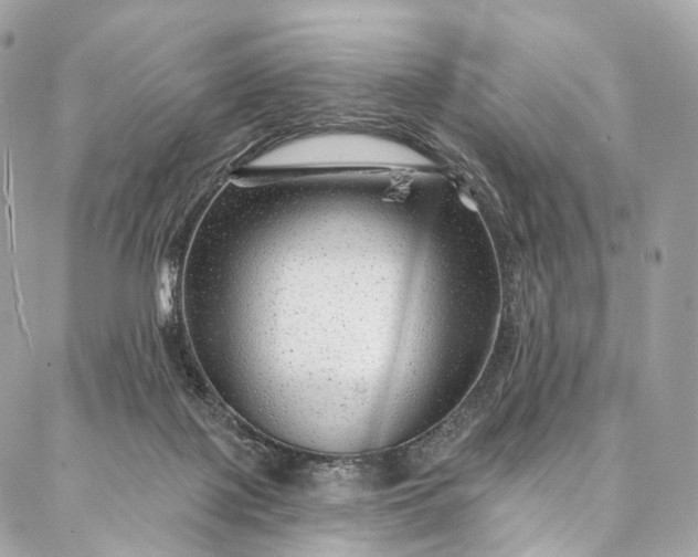 X0000087030075200704301350