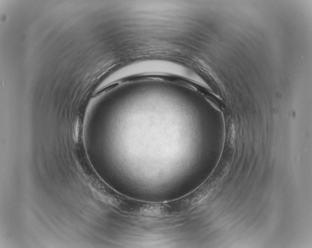 X0000087030076200704301350