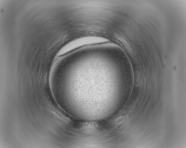 X0000087030077200704301350