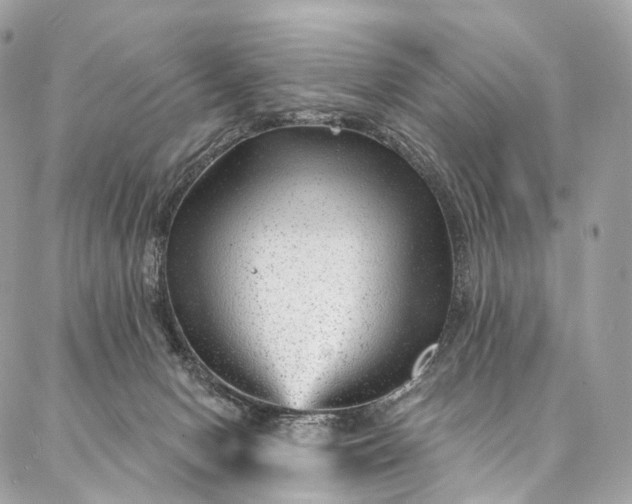 X0000087030078200704301350