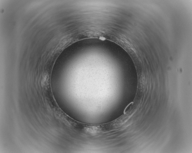 X0000087030079200704301350