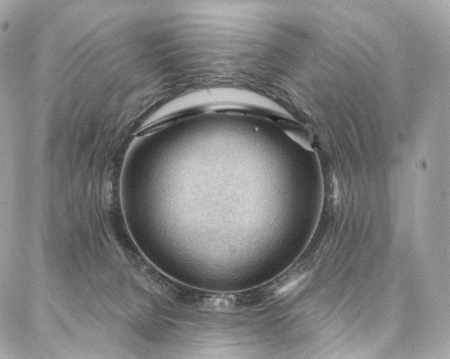 X0000087030080200704301350