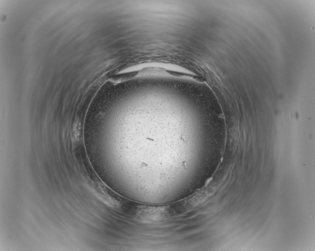 X0000087030081200704301350