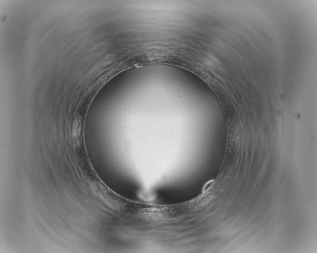 X0000087030082200704301350