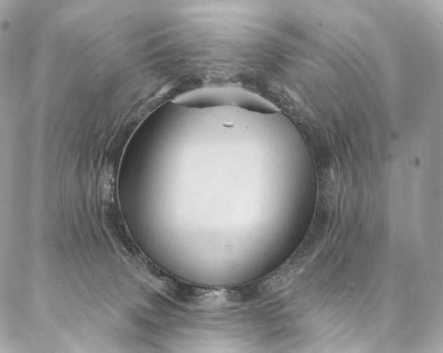 X0000087030083200704301350