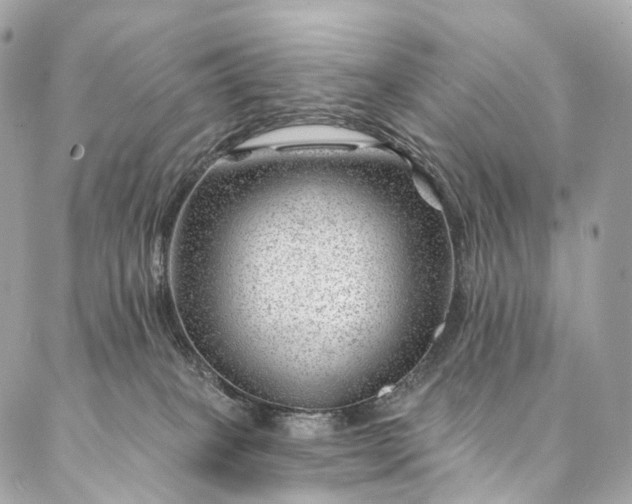 X0000087030085200704301350