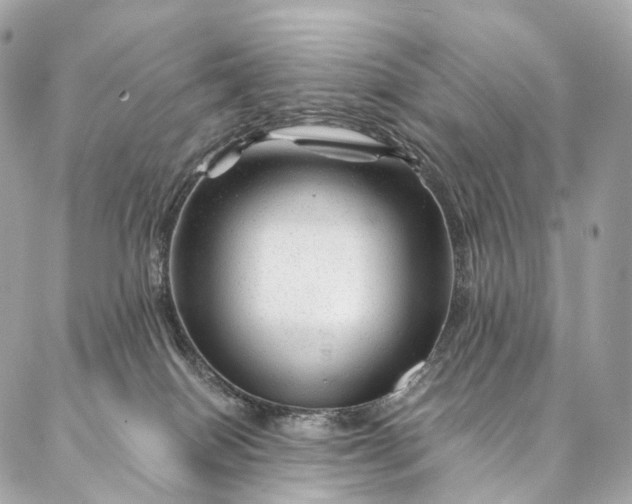 X0000087030086200704301350