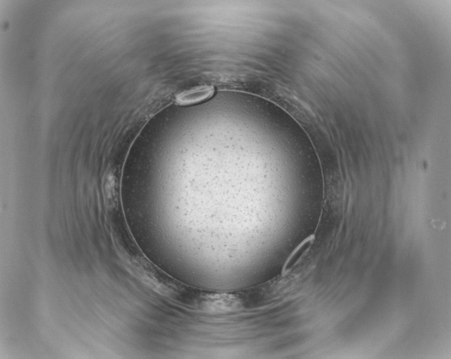 X0000087030087200704301350