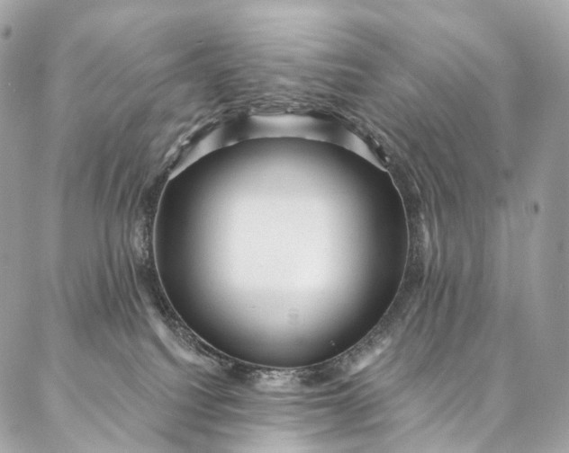 X0000087030088200704301350