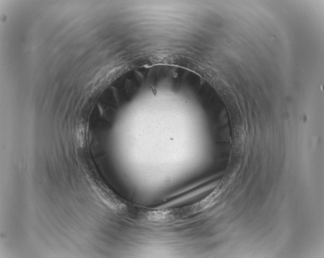 X0000087030090200704301350