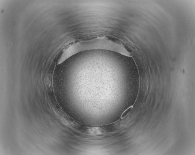 X0000087030091200704301350