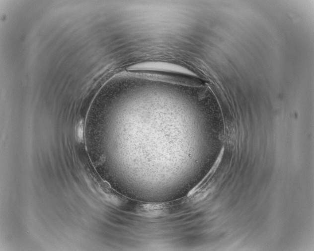 X0000087030095200704301350