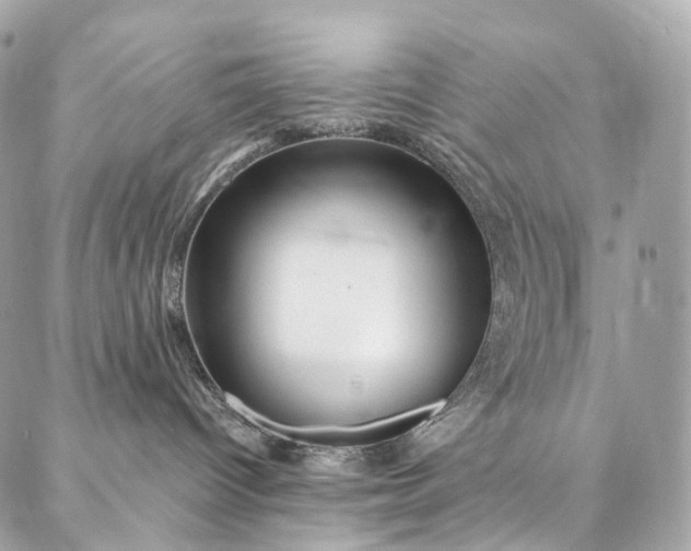 X0000087030096200704301350